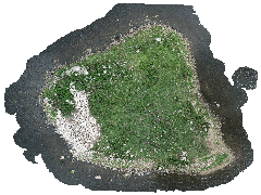 Orrevatnet-2-20220627